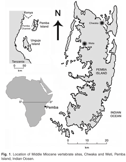 pemba island map