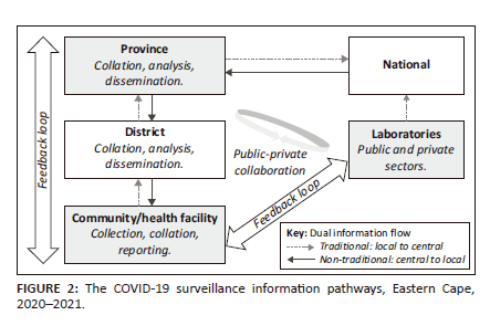 Public health surveillance perspectives from provincial COVID-19 ...